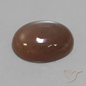 9,17 ctw natürlicher Espresso Braun Mondstein, Oval, Lichtundurchlässig