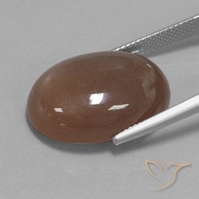 9,17 ctw natürlicher Espresso Braun Mondstein, Oval, Lichtundurchlässig
