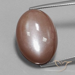 28.75ct Natürlicher Braun Mondstein, Oval, Lichtundurchlässig