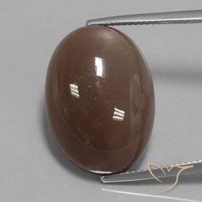 22.96ct Natürlicher Mittel braun Mondstein, Oval, Lichtundurchlässig