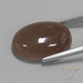 9,17 ctw natürlicher Mittel braun Mondstein, Oval, Lichtundurchlässig
