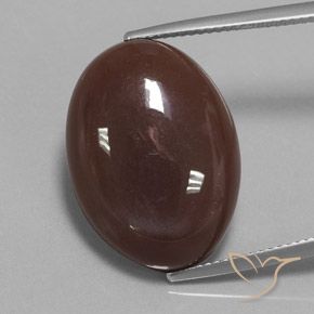21.08ct Natürlicher Mittel braun Mondstein, Oval, Lichtundurchlässig