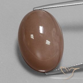 27.61ct Natürlicher Mittel braun Mondstein, Oval, Lichtundurchlässig