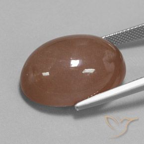 9,17 ctw natürlicher Mittel braun Mondstein, Oval, Lichtundurchlässig