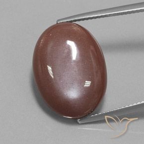 19.73ct Natürlicher Zimtbraun Mondstein, Oval, Lichtundurchlässig