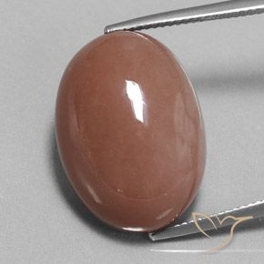 25.17ct Natürlicher Warmes Braun Mondstein, Oval, Lichtundurchlässig