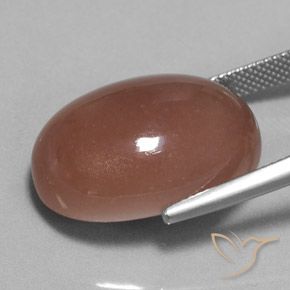 9,17 ctw natürlicher Warmes Braun Mondstein, Oval, Lichtundurchlässig