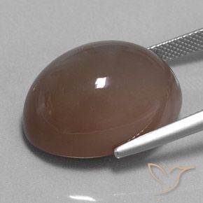9,17 ctw natürlicher Espresso Braun Mondstein, Oval, Lichtundurchlässig