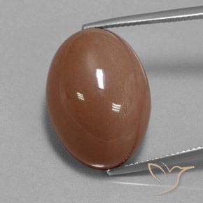 30.83ct Natürlicher Braun Mondstein, Oval, Lichtundurchlässig