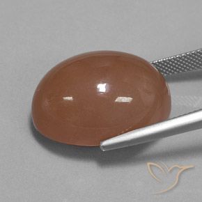 9,17 ctw natürlicher Braun Mondstein, Oval, Lichtundurchlässig