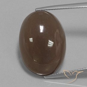 22.19ct Natürlicher Mittel braun Mondstein, Oval, Lichtundurchlässig