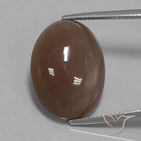 20.61ct Natürlicher Mittel braun Mondstein, Oval, Lichtundurchlässig