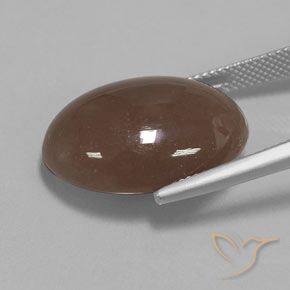 9,17 ctw natürlicher Mittel braun Mondstein, Oval, Lichtundurchlässig