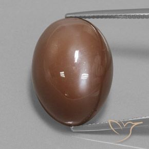 31.30ct Natürlicher Warmes Braun Mondstein, Oval, Lichtundurchlässig
