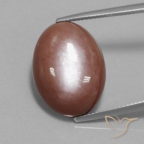 18.74ct Natürlicher Zimtbraun Mondstein, Oval, Lichtundurchlässig