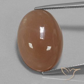 19.57ct Natürlicher Mittel braun Mondstein, Oval, Lichtdurchlässig
