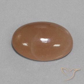 9,17 ctw natürlicher Mittel braun Mondstein, Oval, Lichtdurchlässig