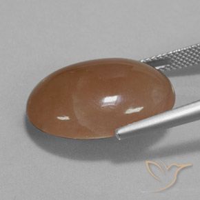 9,17 ctw natürlicher Mittel braun Mondstein, Oval, Lichtdurchlässig