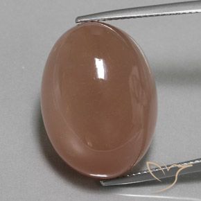 29.74ct Natürlicher Braun Mondstein, Oval, Lichtundurchlässig