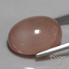 9,17 ctw natürlicher Braun Mondstein, Oval, Lichtundurchlässig
