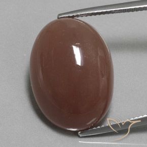 23.37ct Natürlicher Mittel braun Mondstein, Oval, Lichtundurchlässig