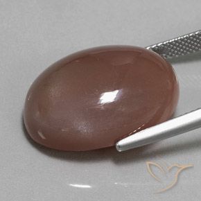 9,17 ctw natürlicher Mittel braun Mondstein, Oval, Lichtundurchlässig
