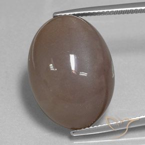 28.97ct Natürlicher Mittel braun Mondstein, Oval, Lichtundurchlässig