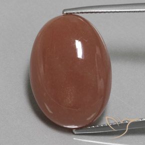 22.59ct Natürlicher Mittel braun Mondstein, Oval, Lichtundurchlässig