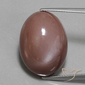 23.55ct Natürlicher Mittel braun Mondstein, Oval, Lichtundurchlässig