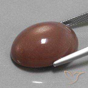 9,17 ctw natürlicher Mittel braun Mondstein, Oval, Lichtundurchlässig