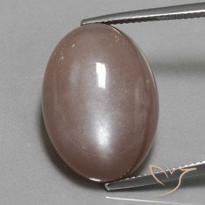 25.09ct Natürlicher hellbraun Mondstein, Oval, Lichtundurchlässig