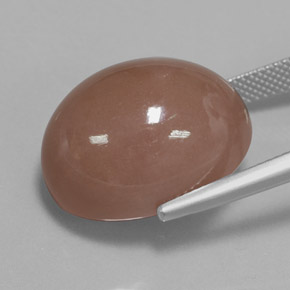 9,17 ctw natürlicher Warmes Braun Mondstein, Oval Schliff, Lichtundurchlässig