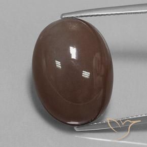 20.93ct Natürlicher Mittel braun Mondstein, Oval, Lichtundurchlässig