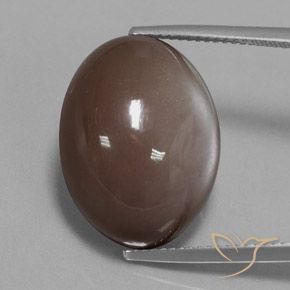21.72ct Natürlicher Schokoladenbraun Mondstein, Oval, Lichtundurchlässig