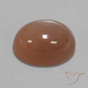 9,17 ctw natürlicher Warmes Braun Mondstein, Oval, Lichtundurchlässig