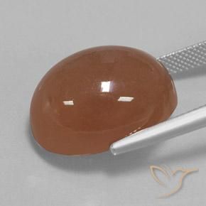9,17 ctw natürlicher Warmes Braun Mondstein, Oval, Lichtundurchlässig