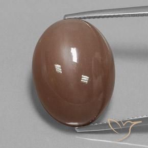 22.75ct Natürlicher Mittel braun Mondstein, Oval, Lichtundurchlässig