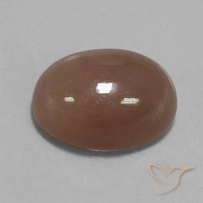 9,17 ctw natürlicher Mittel braun Mondstein, Oval, Lichtundurchlässig
