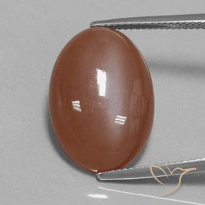 15.54ct Natürlicher Zimtbraun Mondstein, Oval, Lichtundurchlässig