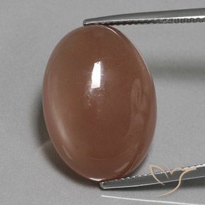 18.61ct Natürlicher Mittel braun Mondstein, Oval, Lichtdurchlässig, Photo A