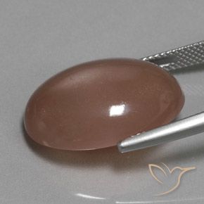 9,17 ctw natürlicher Mittel braun Mondstein, Oval, Lichtdurchlässig