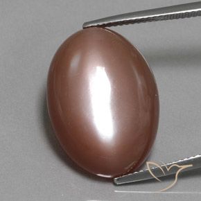 19.77ct Natürlicher Warmes Braun Mondstein, Oval, Lichtundurchlässig
