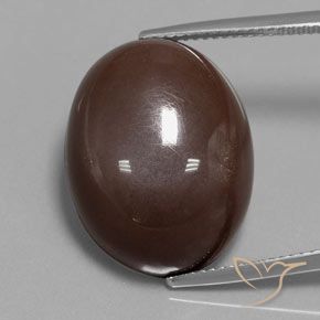 23.33ct Natürlicher Mittel braun Mondstein, Oval, Lichtundurchlässig