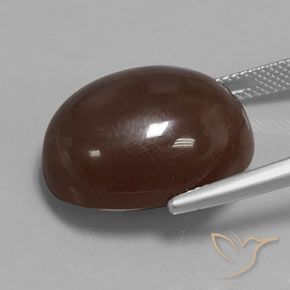 9,17 ctw natürlicher Mittel braun Mondstein, Oval, Lichtundurchlässig