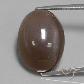30.12ct Natürlicher Schokoladenbraun Mondstein, Oval, Lichtundurchlässig