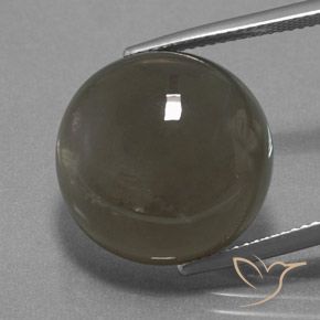 18.40ct Natürlicher Grau braun Mondstein, Runden, Lichtdurchlässig