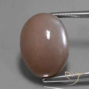 24.60ct Natürlicher Mittel-Hellbraun Mondstein, Oval, Lichtdurchlässig