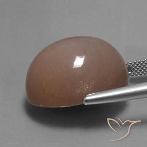 9,17 ctw natürlicher Mittel-Hellbraun Mondstein, Oval, Lichtdurchlässig