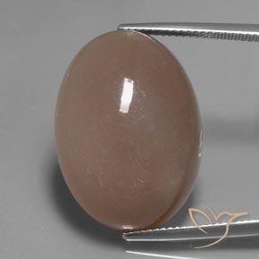27.83ct Natürlicher hellbraun Mondstein, Oval, Lichtdurchlässig