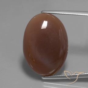 22.04ct Natürlicher Mittel braun Mondstein, Oval, Lichtdurchlässig